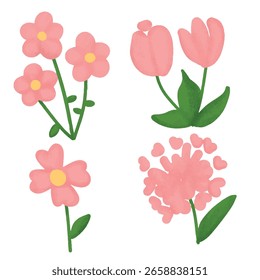 Various pink flower isolated on white background. Pink floral clipart with green leaf.