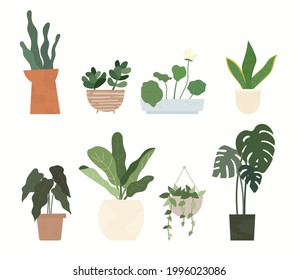 Various plant pots for home gardening. flat design style minimal vector illustration.