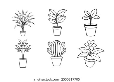 Various Plant Pots for Home Gardening - Stylish  Functional Options