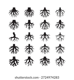 Varios sistemas de raíces de plantas ilustrados en un diseño simple en blanco y negro