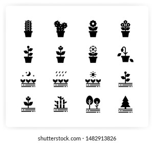 Various plants silhouette icons/illustrations in solid black color.