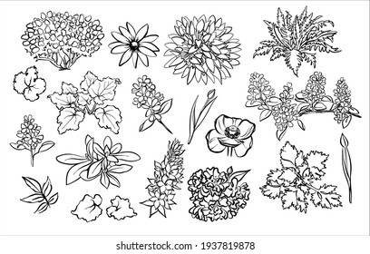 1,864,902 Spring flowers drawing Images, Stock Photos & Vectors ...