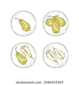 Various plates of pears in beautiful hand drawing illustration style