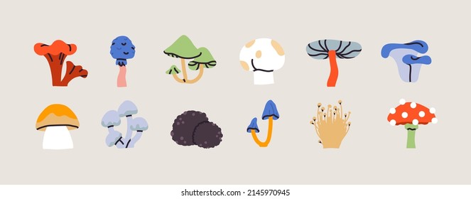 Verschiedene giftige und essbare Pilze. Farbige Symbole von Shiitake, Champignon, Chanterelle, Clamshell, Boletus, Morel, Austern. Vegetarisches Essen. Trendy Vektorgrafik. Alle Artikel sind einzeln