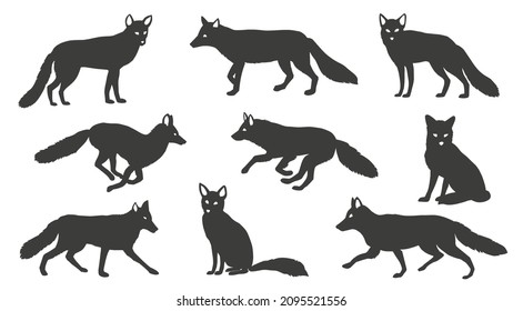 various pose foxes silhouettes on the white background