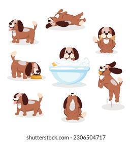 Various poses of a cute domestic dog. Set of a cute dog.