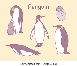 Various poses of cute emperor penguin character. hand drawn style vector design illustrations. 