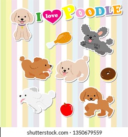 Various poses of cute toy poodle1