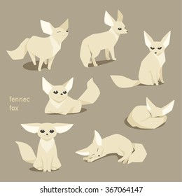 Diversas poses del Zorro Fennec