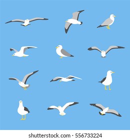 Various poses of flying seagulls on the sea vector illustration flat design