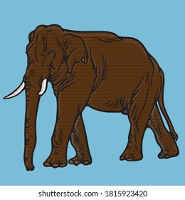 The various postures of the animals life and retro style. Animals illustration, shape line art, pattern and vector elephants.