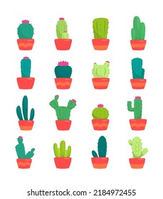 Various pots of ornamental plants cactus isolated illustration hand drawn