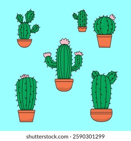 Various potted cacti with flowers on a light blue background. 