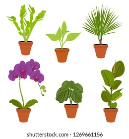 Various potted houseplants. Garden potted plants. Vector set potted plants. Flowerpot bloom
