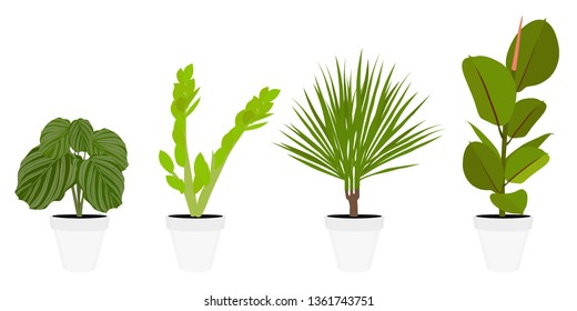 Various potted houseplants. Garden potted plants. Vector set potted plants. Flowerpot bloom