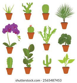 Various potted houseplants. Garden potted plants. Vector set potted plants. Flowerpot bloom