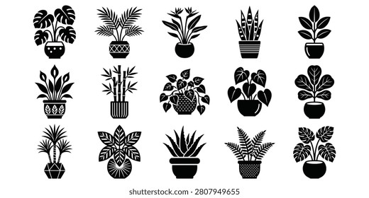 Various potted plants with different leaf shapes and sizes.