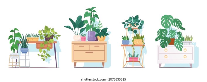 Varias macetas de plantas sobre muebles. Plantas de la casa en macetas con hojas en puestos, estantes, escritorio, colección de cajones. Naturaleza, decoración botánica ilustración vectorial plana