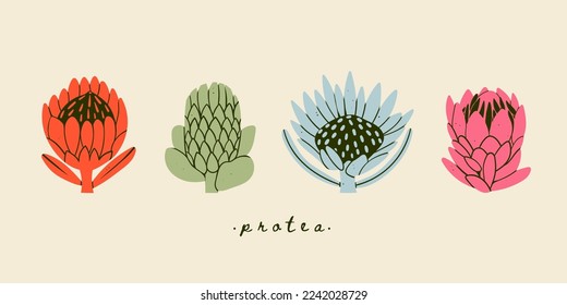 Various Protea flowers set. Abstract colorful flowers with leaves and branch. Hand drawn Vector illustration. Design decoration, print, icon, logo, tattoo idea templates. Isolated elements