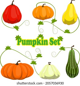 various pumpkin set icon by vector design