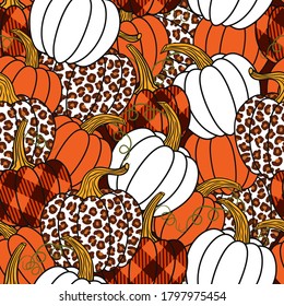 
  Various pumpkins. Leopard, orange, white and buffalo plaid pumpkin.Vector seamless pattern. Harvest season.  Farmhouse Decor.