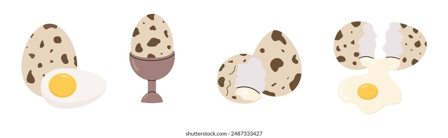 various quail eggs illustration, whole, uncooked, boiled, fresh, shiny, cracked, cooking ingredient, organic product, food, breakfast