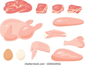 Various raw chicken meat illustration set