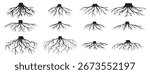 various realistic tree roots shrub roots parts plant root system tree stump dendrology woody