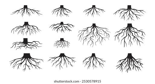 Várias raízes de árvores realistas, raízes arbustivas. Partes de planta, coto de árvore do sistema radicular. Dendrologia, plantas lenhosas. Desenho esquemático. Ilustração vetorial