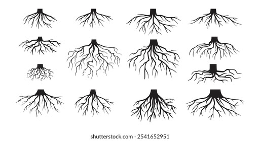 Várias raízes de árvores realistas, raízes arbustivas. Partes de planta, coto de árvore do sistema radicular. Dendrologia, plantas lenhosas. Desenho esquemático. Ilustração vetorial