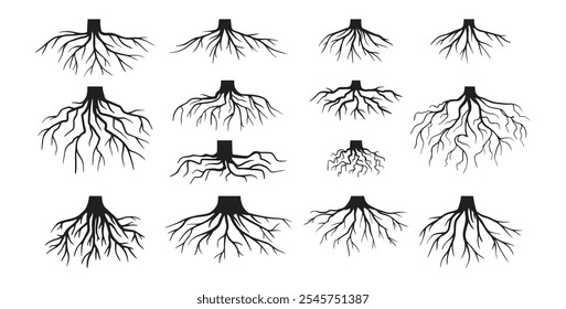 Várias raízes de árvores realistas, raízes arbustivas. Partes de planta, coto de árvore do sistema radicular. Dendrologia, plantas lenhosas. Desenho esquemático. Ilustração vetorial