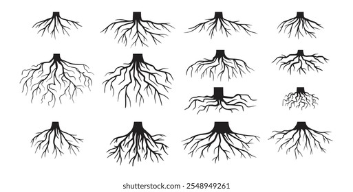 Várias raízes de árvores realistas, raízes arbustivas. Partes de planta, coto de árvore do sistema radicular. Dendrologia, plantas lenhosas. Desenho esquemático. Ilustração vetorial