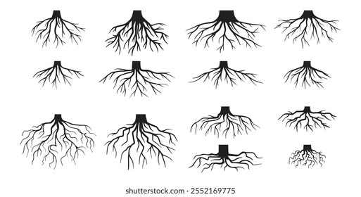 Várias raízes de árvores realistas, raízes arbustivas. Partes de planta, coto de árvore do sistema radicular. Dendrologia, plantas lenhosas. Desenho esquemático. Ilustração vetorial