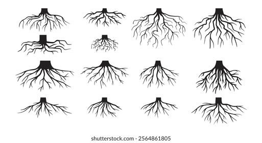 Various realistic tree roots, shrub roots. Parts of plant, root system tree stump. Dendrology, woody plants. Sketch doodle drawing. Vector illustration