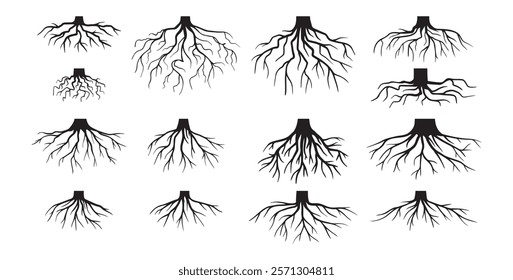 Various realistic tree roots, shrub roots. Parts of plant, root system tree stump. Dendrology, woody plants. Sketch doodle drawing. Vector illustration