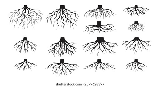 Various realistic tree roots, shrub roots. Parts of plant, root system tree stump. Dendrology, woody plants. Sketch doodle drawing. Vector illustration