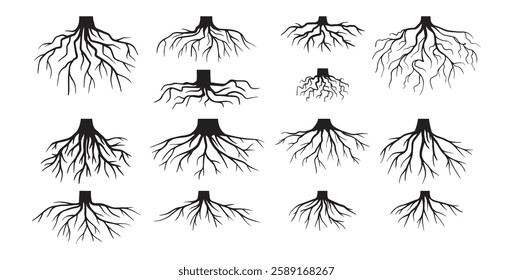 Various realistic tree roots, shrub roots. Parts of plant, root system tree stump. Dendrology, woody plants. Sketch doodle drawing. Vector illustration