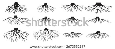 various realistic tree roots shrub roots parts plant root system tree stump dendrology woody