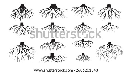 Various realistic tree roots, shrub roots. Parts of plant, root system tree stump. Dendrology, woody plants. Sketch doodle drawing. Vector illustration