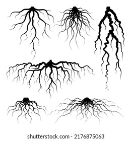Various realistic tree or shrub roots. Parts of plant, root system with tree stump. Dendrology, study of woody plants. Sketch drawing. Vector illustration