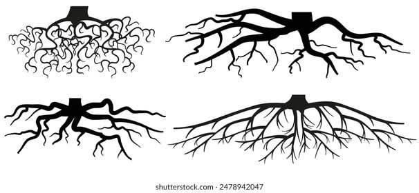 Verschiedene realistische Baum- oder Strauchwurzeln. Pflanzenteile, Wurzelsystem mit Baumstumpf. Dendrologie, Untersuchung von holzigen Pflanzen. Skizzenzeichnung. Vektorillustration. EPS 10