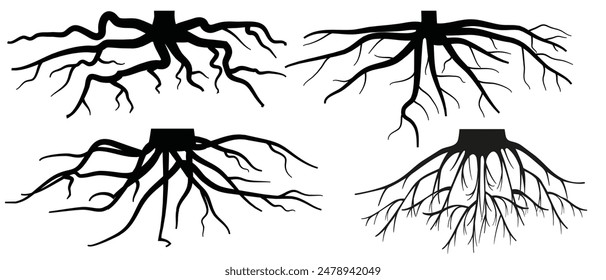 Verschiedene realistische Baum- oder Strauchwurzeln. Pflanzenteile, Wurzelsystem mit Baumstumpf. Dendrologie, Untersuchung von holzigen Pflanzen. Skizzenzeichnung. Vektorillustration. EPS 10