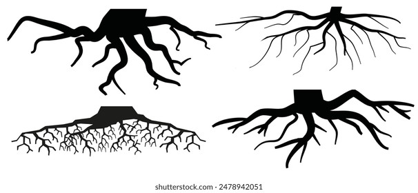 Various realistic tree or shrub roots. Parts of plant, root system with tree stump. Dendrology, study of woody plants. Sketch drawing. Vector illustration.  eps 10