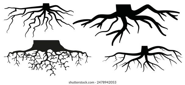 Various realistic tree or shrub roots. Parts of plant, root system with tree stump. Dendrology, study of woody plants. Sketch drawing. Vector illustration.  eps 10