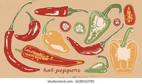 Various red, green, yellow chili Peppers. Whole, sliced, cut. Top, side view. Different types. Hand drawn modern Vector illustration. Farm market, natural eco product concept. Isolated design elements