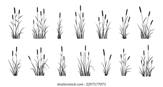 various reed silhouettes on the white background
