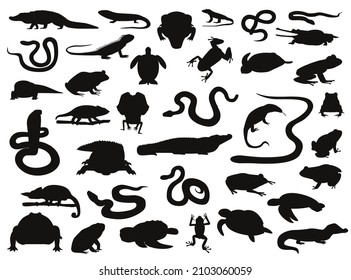 Various Reptile and Amphibian Silhouettes Vector Illustration