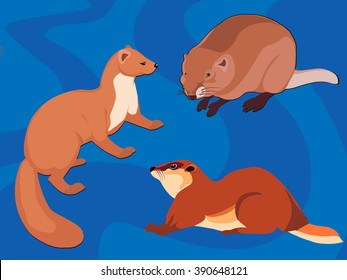 Various rodents of vector illustration.