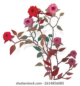 Various rose flowers surrealism vivid colors isolated on white background graphic illustration have blank space. Valentine's day greeting card template.