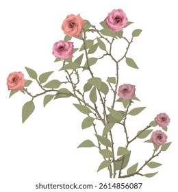 Various rose flowers tree isolated on white background graphic illustration. Valentine's day greeting card template.